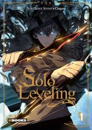 Solo Leveling IT Cover Image